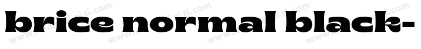 brice normal black字体转换